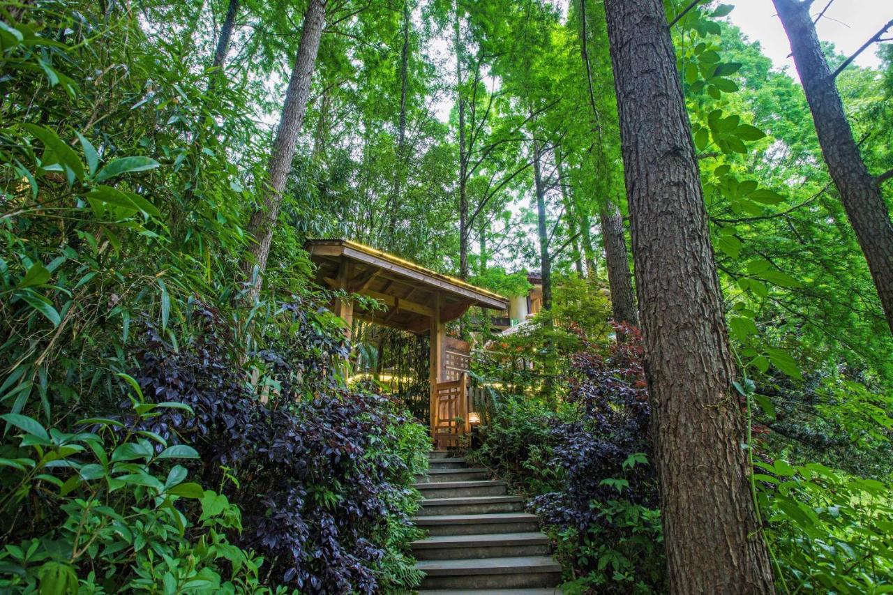 Wuyi Mountain Ancient Street Forest Living England Time Inn Wuyishan  Exterior foto